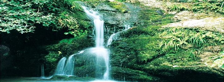 495/Mountain Trail Resort - Mukteshwar 14.jpg